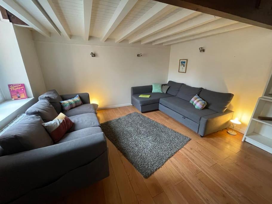 Joli Canut - Proche De Fourviere - 6 Couchages Lyon Ngoại thất bức ảnh